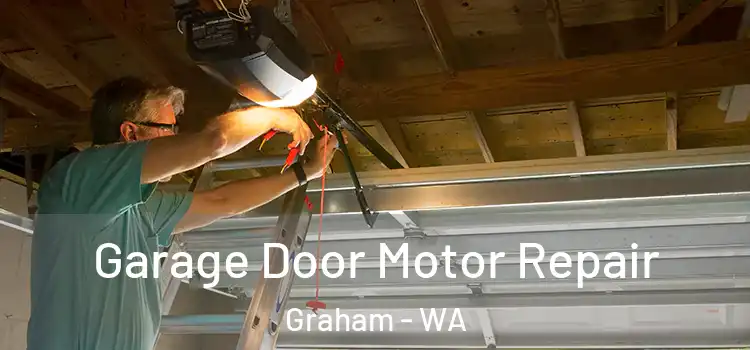  Garage Door Motor Repair Graham - WA