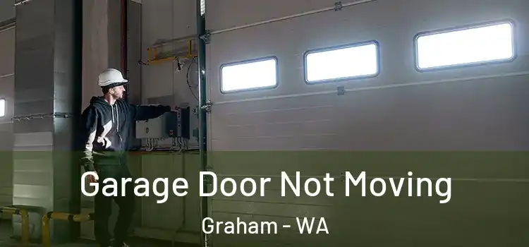  Garage Door Not Moving Graham - WA