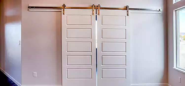 Glass Barn Door with Installation Hardware Kit Graham