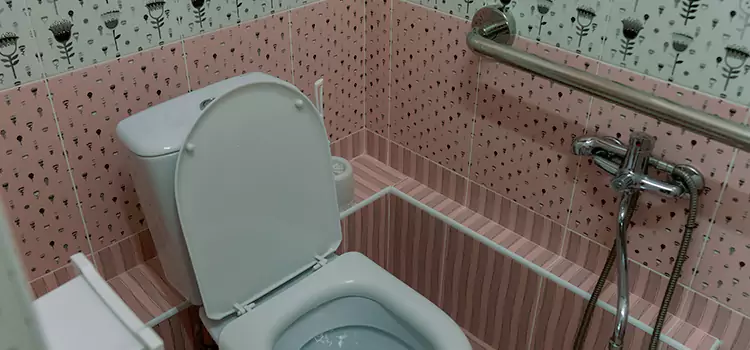 Meeting Diverse Needs With Accessible Restroom Solutions in Graham, WA